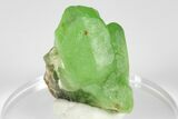 Green Olivine Peridot Crystal Cluster - Pakistan #183965-3
